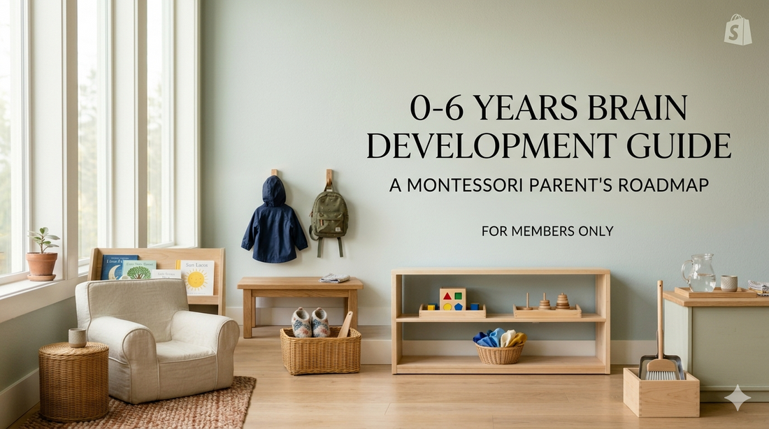 A Parent's Guide to Baby's Brain Development: 0 - 6 Years