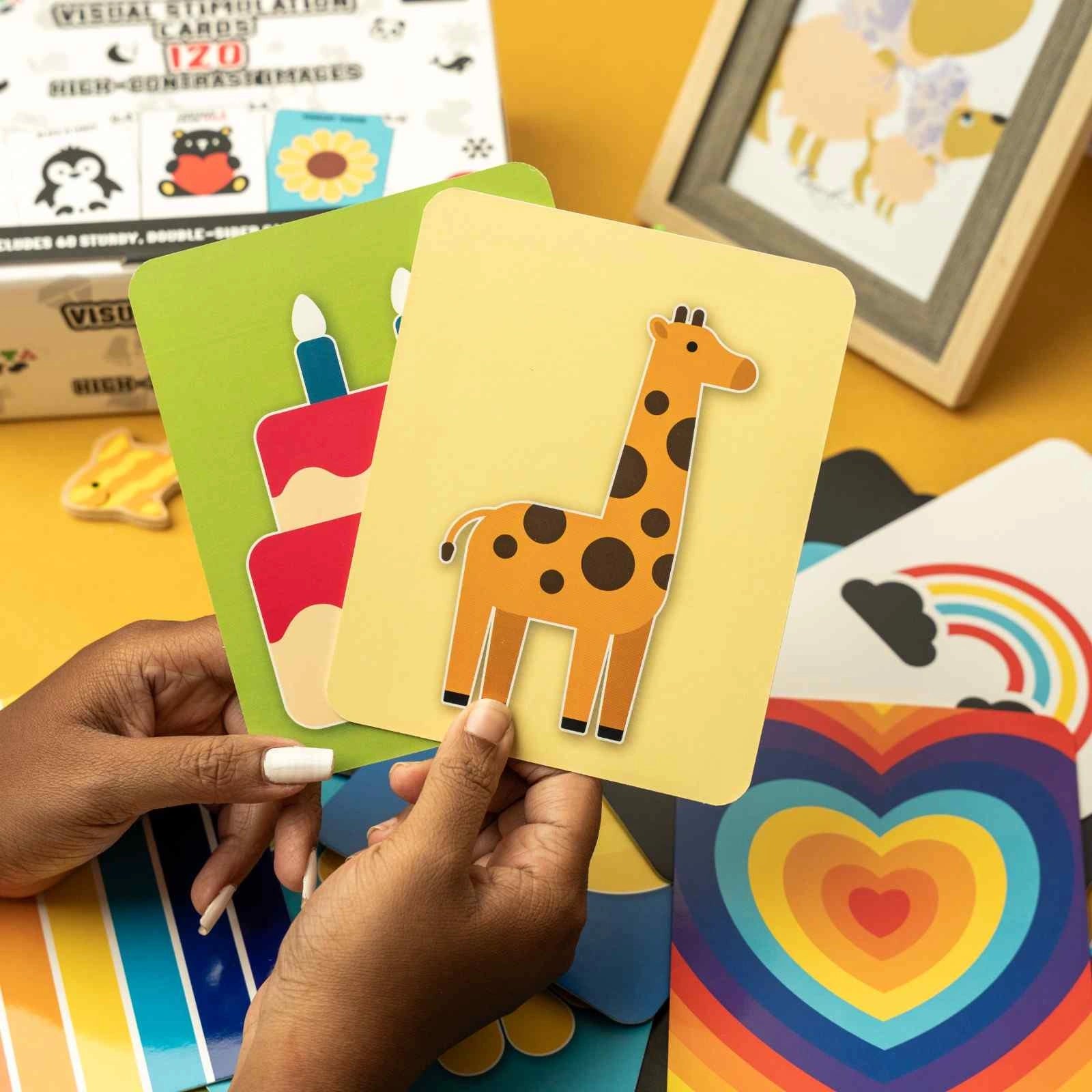 NESTA TOYS - Large High Contrast Flash Cards for Babies & Infants | 120 Pictures | Visual Stimulation Learning Activity Card for Babies