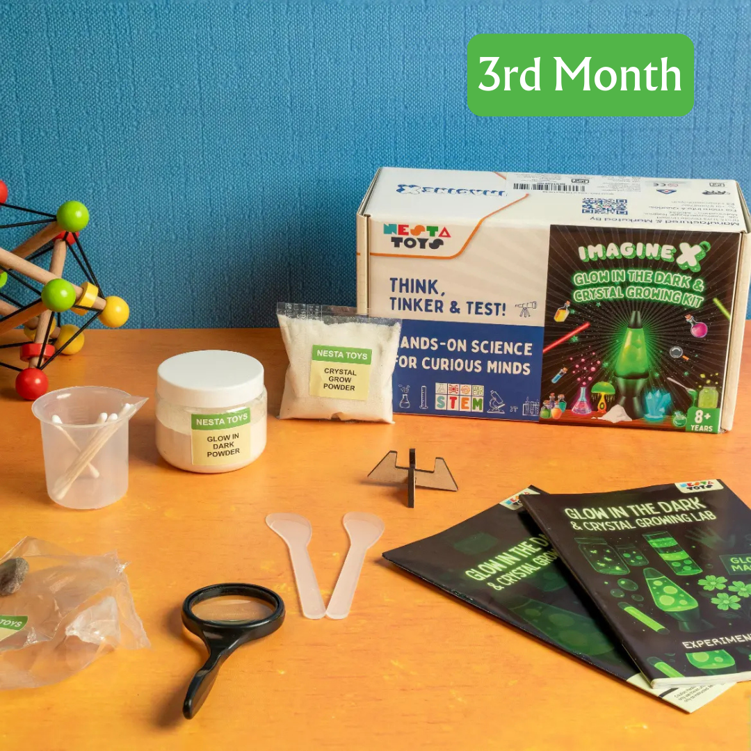 STEM Explorer Box for Kids – 5 Month Educational Activity Kit Program - NESTA TOYS