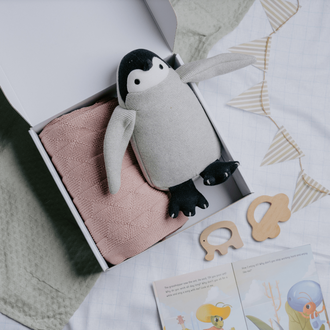Newborn Gift Set – Swaddle, Penguin Plush Toy & Wooden Teethers - NESTA TOYS