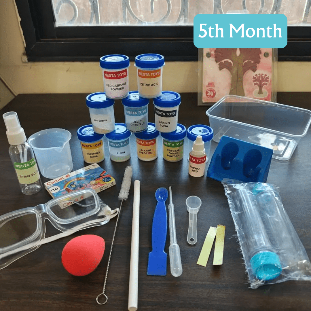 STEM Explorer Box for Kids – 5 Month Educational Activity Kit Program - NESTA TOYS