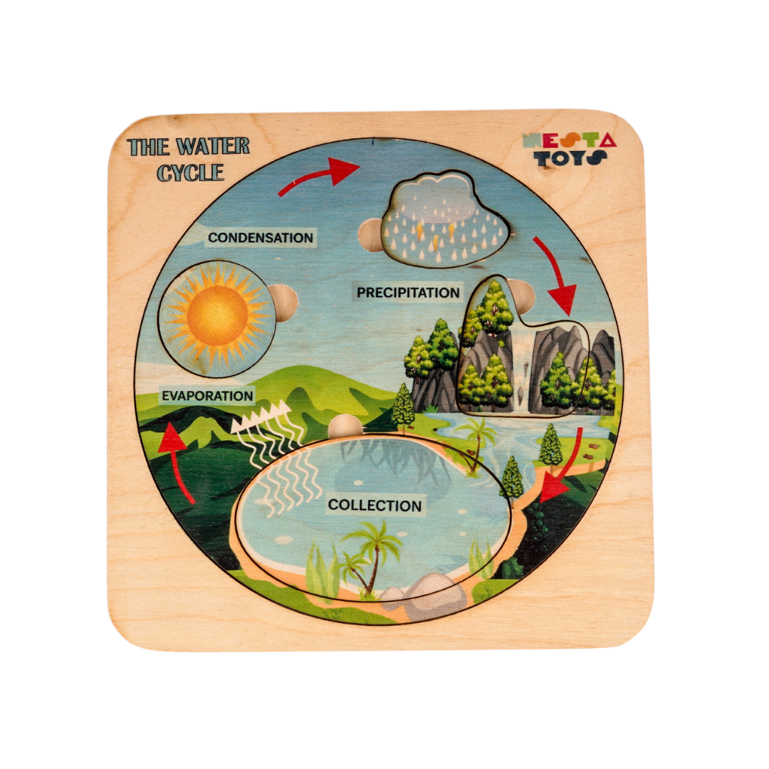NESTA TOYS - Montessori Wooden Water Cycle Puzzle | Educational STEM Learning Toy - nestatoys