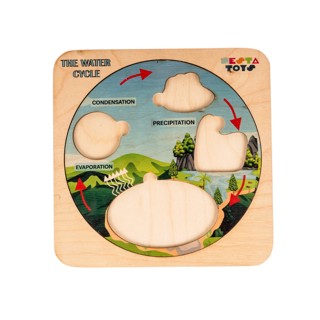NESTA TOYS - Montessori Wooden Water Cycle Puzzle | Educational STEM Learning Toy - nestatoys