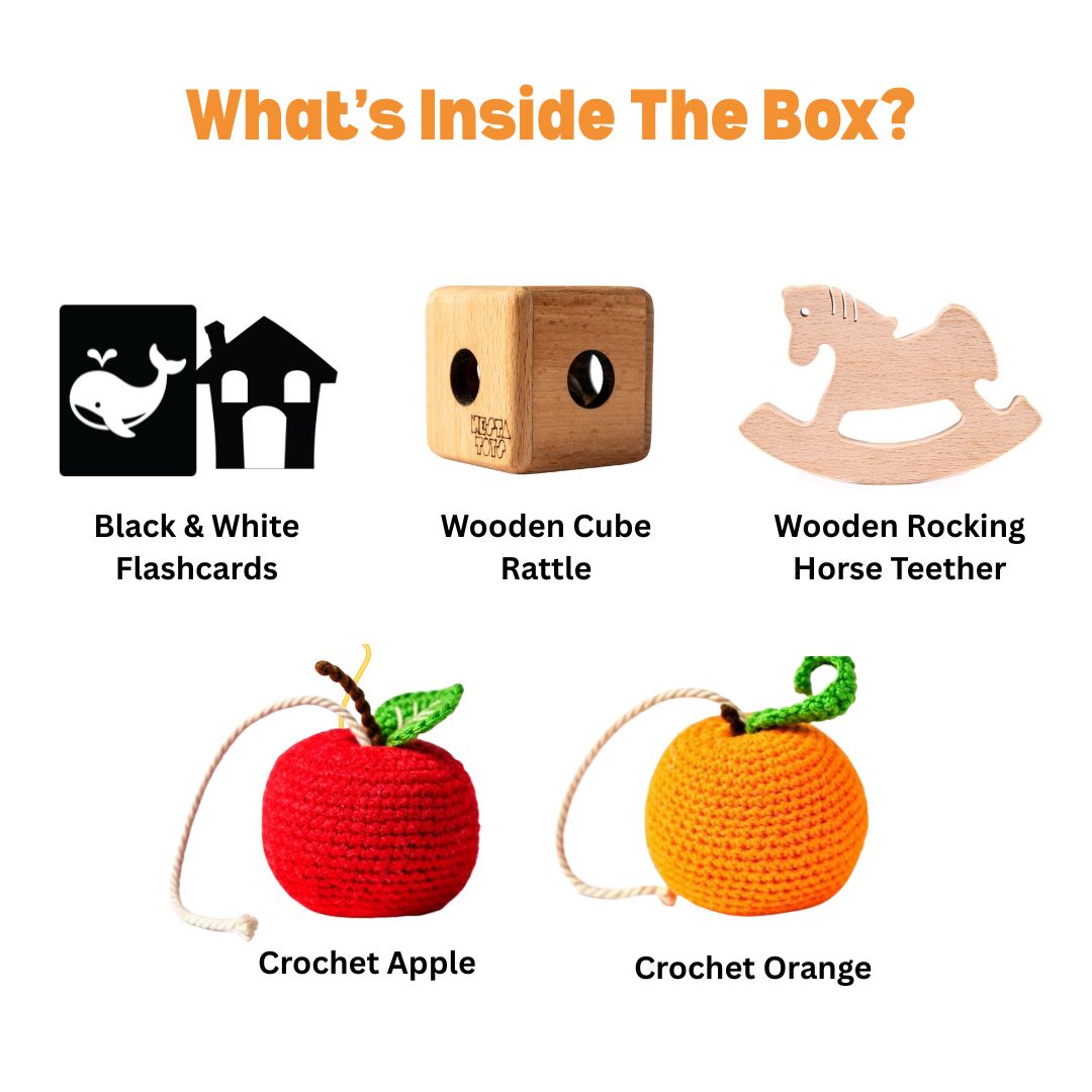 Newborn Development Kit for 0-3 Months (Level 1)